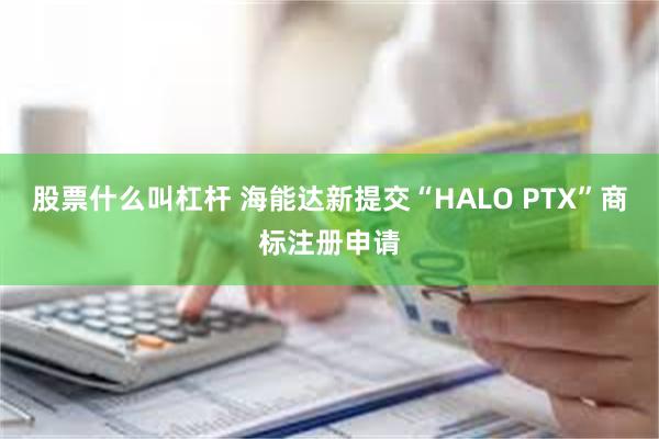股票什么叫杠杆 海能达新提交“HALO PTX”商标注册申请