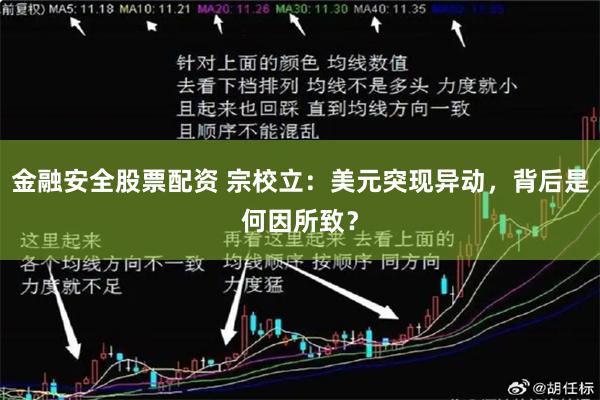金融安全股票配资 宗校立：美元突现异动，背后是何因所致？