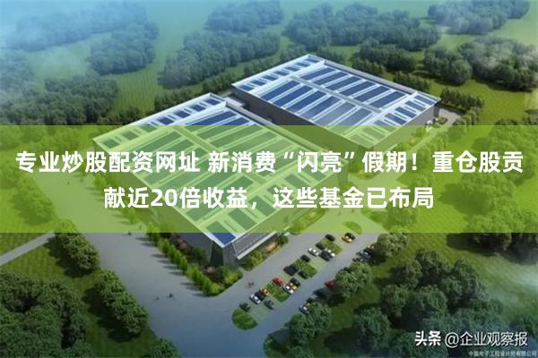 专业炒股配资网址 新消费“闪亮”假期！重仓股贡献近20倍收益，这些基金已布局