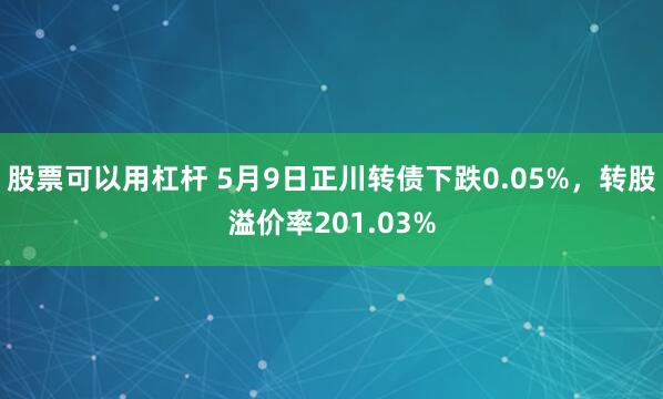 股票可以用杠杆 5月9日正川转债下跌0.05%，转股溢价率201.03%