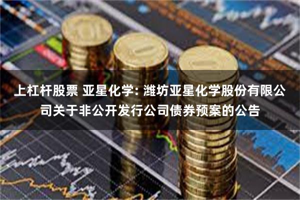 上杠杆股票 亚星化学: 潍坊亚星化学股份有限公司关于非公开发行公司债券预案的公告