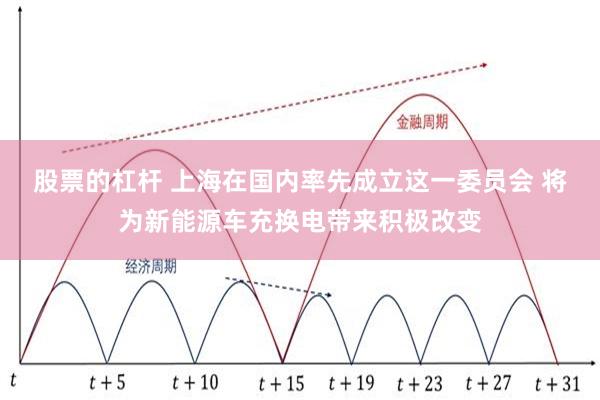 股票的杠杆 上海在国内率先成立这一委员会 将为新能源车充换电带来积极改变