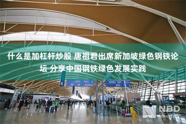 什么是加杠杆炒股 唐祖君出席新加坡绿色钢铁论坛 分享中国钢铁绿色发展实践