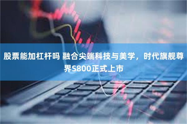 股票能加杠杆吗 融合尖端科技与美学，时代旗舰尊界S800正式上市