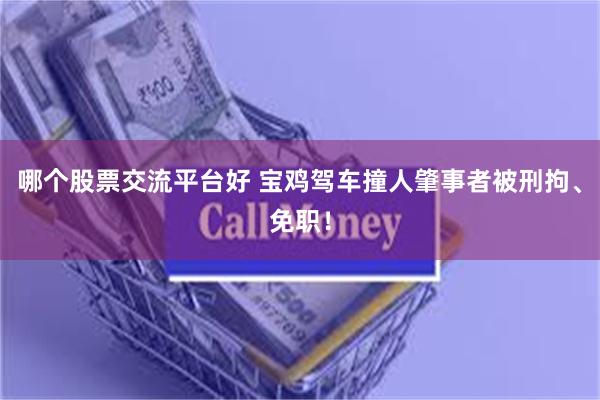 哪个股票交流平台好 宝鸡驾车撞人肇事者被刑拘、免职！