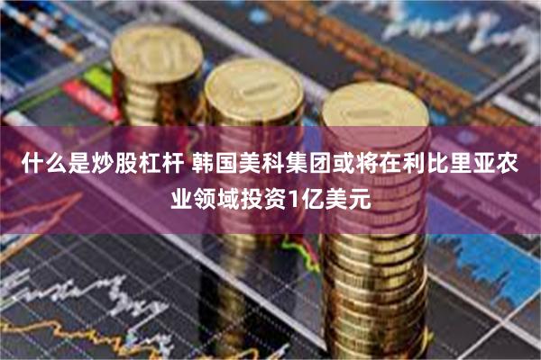 什么是炒股杠杆 韩国美科集团或将在利比里亚农业领域投资1亿美元