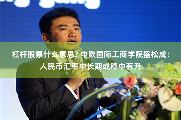 杠杆股票什么意思? 中欧国际工商学院盛松成：人民币汇率中长期或稳中有升
