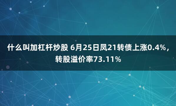 什么叫加杠杆炒股 6月25日凤21转债上涨0.4%，转股溢价率73.11%