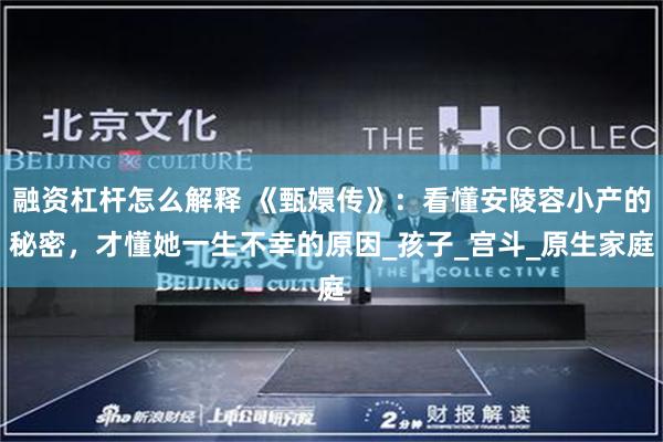 融资杠杆怎么解释 《甄嬛传》：看懂安陵容小产的秘密，才懂她一生不幸的原因_孩子_宫斗_原生家庭
