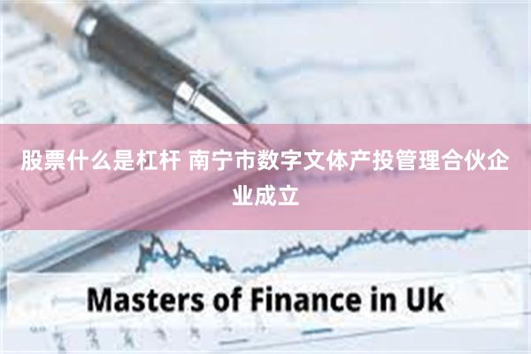 股票什么是杠杆 南宁市数字文体产投管理合伙企业成立