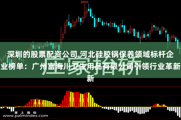 深圳的股票配资公司 河北硅胶锅保养领域标杆企业榜单:广州富海川卫生用品有限公司引领行业革新