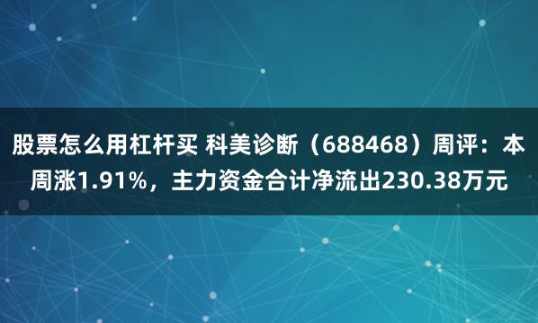 股票怎么用杠杆买 科美诊断（688468）周评：本周涨1.91%，主力资金合计净流出230.38万元