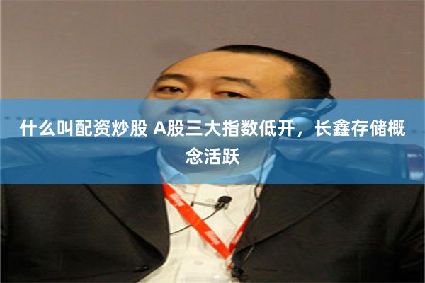 什么叫配资炒股 A股三大指数低开，长鑫存储概念活跃