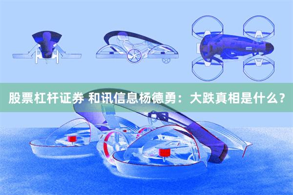 股票杠杆证券 和讯信息杨德勇：大跌真相是什么？