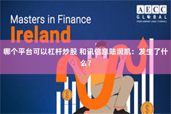 哪个平台可以杠杆炒股 和讯信息陆润凯：发生了什么？