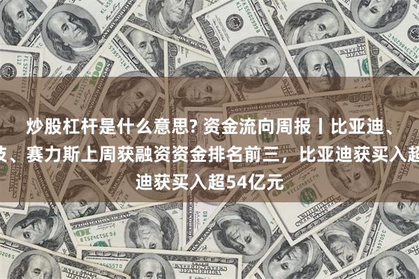 炒股杠杆是什么意思? 资金流向周报丨比亚迪、胜宏科技、赛力斯上周获融资资金排名前三，比亚迪获买入超54亿元