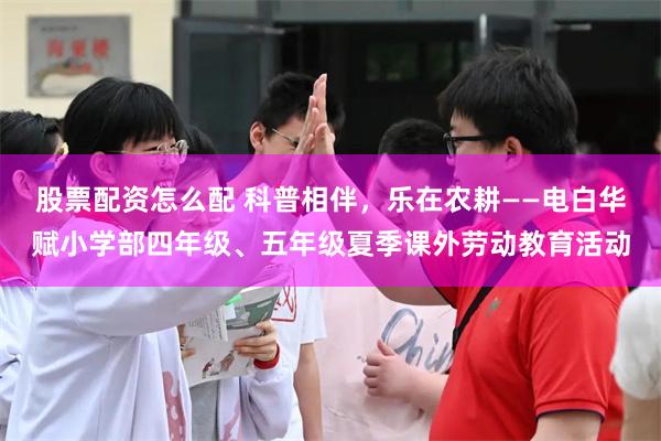 股票配资怎么配 科普相伴，乐在农耕——电白华赋小学部四年级、五年级夏季课外劳动教育活动