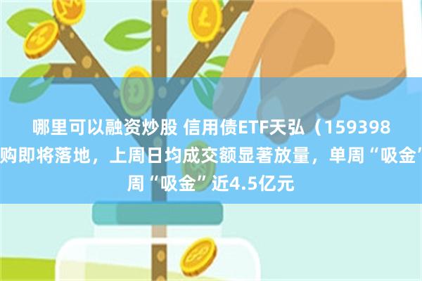 哪里可以融资炒股 信用债ETF天弘（159398）质押式回购即将落地，上周日均成交额显著放量，单周“吸金”近4.5亿元