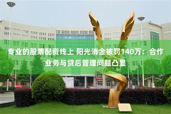 专业的股票配资线上 阳光消金被罚140万：合作业务与贷后管理问题凸显