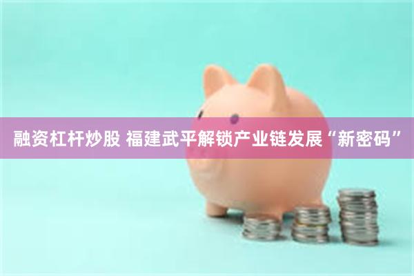 融资杠杆炒股 福建武平解锁产业链发展“新密码”