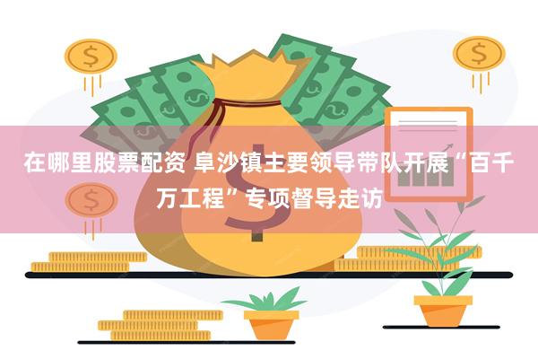 在哪里股票配资 阜沙镇主要领导带队开展“百千万工程”专项督导走访