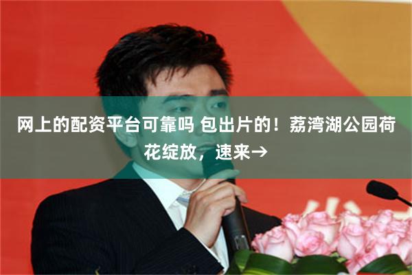 网上的配资平台可靠吗 包出片的！荔湾湖公园荷花绽放，速来→