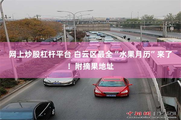 网上炒股杠杆平台 白云区最全“水果月历”来了！附摘果地址