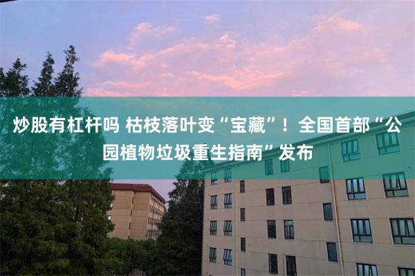炒股有杠杆吗 枯枝落叶变“宝藏”！全国首部“公园植物垃圾重生指南”发布