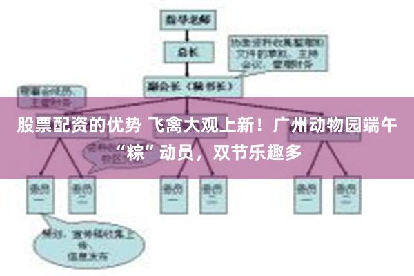股票配资的优势 飞禽大观上新！广州动物园端午“粽”动员，双节乐趣多