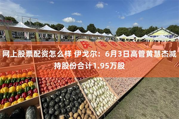 网上股票配资怎么样 伊戈尔：6月3日高管黄慧杰减持股份合计1.95万股
