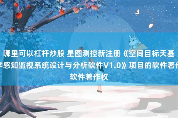 哪里可以杠杆炒股 星图测控新注册《空间目标天基光学感知监视系统设计与分析软件V1.0》项目的软件著作权