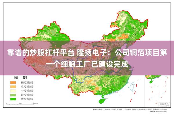 靠谱的炒股杠杆平台 隆扬电子：公司铜箔项目第一个细胞工厂已建设完成
