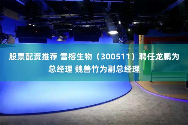 股票配资推荐 雪榕生物（300511）聘任龙鹏为总经理 魏善竹为副总经理