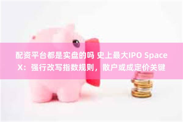 配资平台都是实盘的吗 史上最大IPO SpaceX：强行改写指数规则，散户或成定价关键