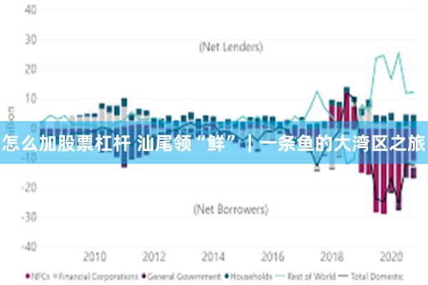 怎么加股票杠杆 汕尾领“鲜”｜一条鱼的大湾区之旅
