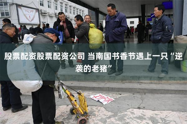 股票配资股票配资公司 当南国书香节遇上一只“逆袭的老猪”