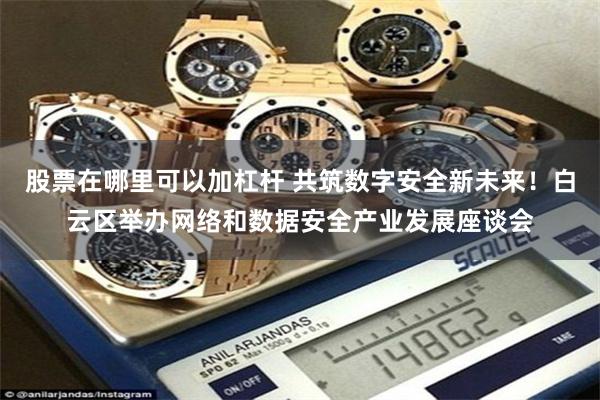 股票在哪里可以加杠杆 共筑数字安全新未来！白云区举办网络和数据安全产业发展座谈会