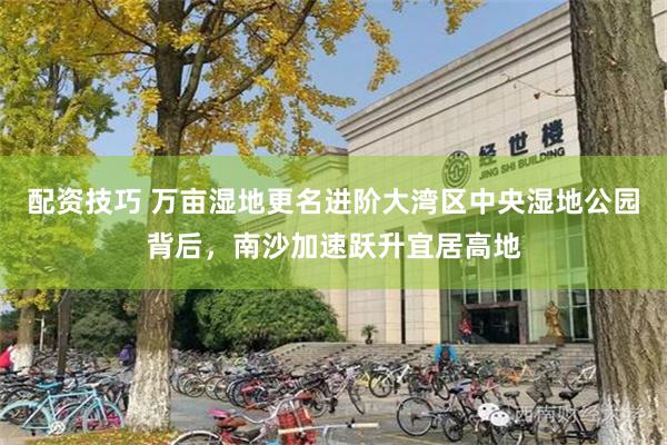 配资技巧 万亩湿地更名进阶大湾区中央湿地公园背后，南沙加速跃升宜居高地