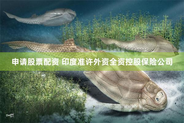 申请股票配资 印度准许外资全资控股保险公司