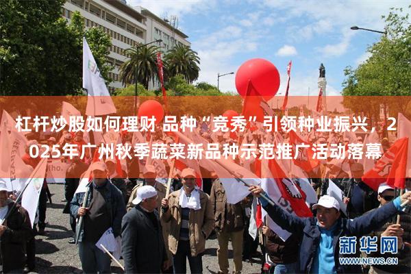 杠杆炒股如何理财 品种“竞秀”引领种业振兴,2025年广州秋季蔬菜新品种示范推广活动落幕
