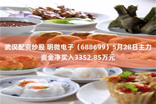 武汉配资炒股 明微电子(688699)5月28日主力资金净买入3352.85万元