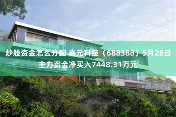 炒股资金怎么分配 嘉元科技（688388）5月28日主力资金净买入7448.31万元