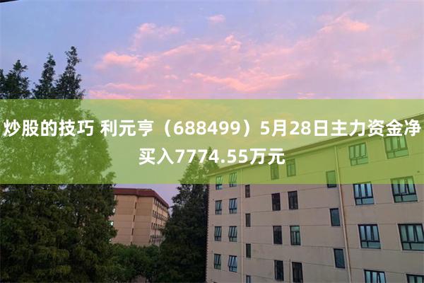 炒股的技巧 利元亨（688499）5月28日主力资金净买入7774.55万元