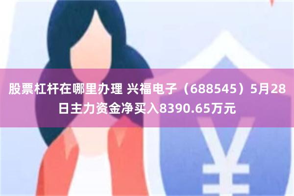 股票杠杆在哪里办理 兴福电子(688545)5月28日主力资金净买入8390.65万元