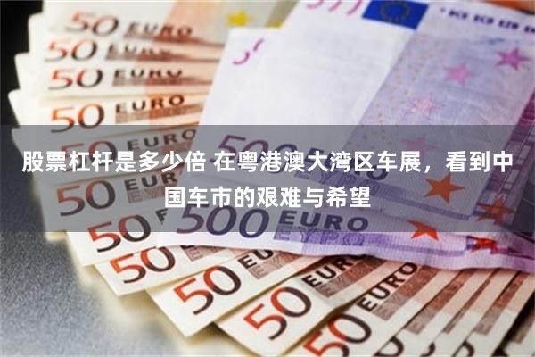 股票杠杆是多少倍 在粤港澳大湾区车展,看到中国车市的艰难与希望