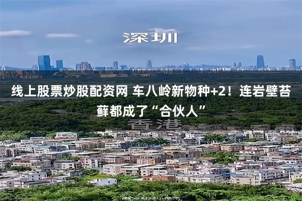 线上股票炒股配资网 车八岭新物种+2！连岩壁苔藓都成了“合伙人”