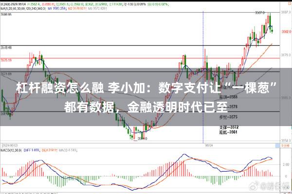 杠杆融资怎么融 李小加:数字支付让“一棵葱”都有数据,金融透明时代已至