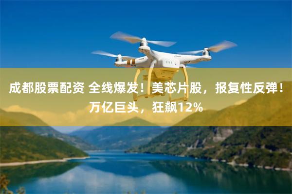 成都股票配资 全线爆发!美芯片股,报复性反弹!万亿巨头,狂飙12%