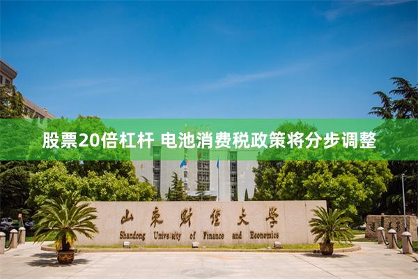 股票20倍杠杆 电池消费税政策将分步调整