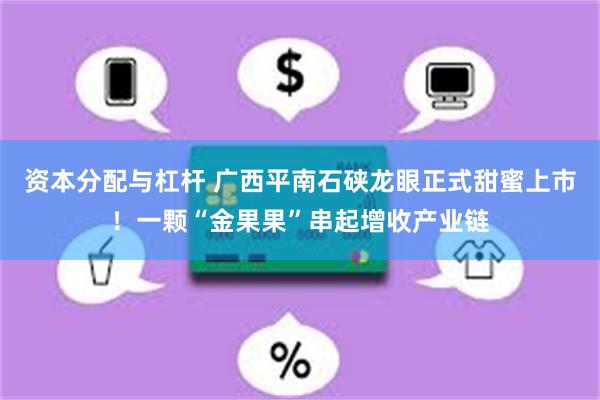 资本分配与杠杆 广西平南石硖龙眼正式甜蜜上市！一颗“金果果”串起增收产业链